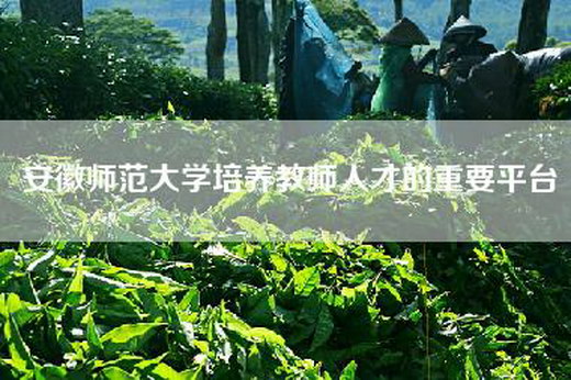 安徽师范大学培养教师人才的重要平台