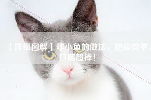 【详细图解】炸小鱼的做法，超级简单，口感超棒！