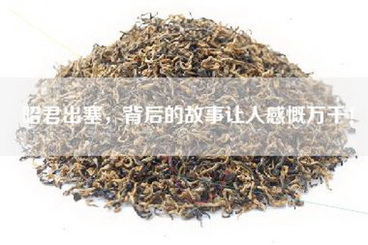 昭君出塞，背后的故事让人感慨万千！