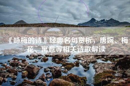 《咏梅的诗》经典名句赏析，唐婉、梅花、寓意等相关诗歌解读