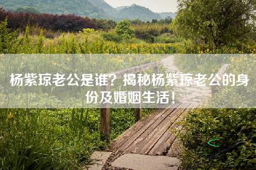 杨紫琼老公是谁？揭秘杨紫琼老公的身份及婚姻生活！