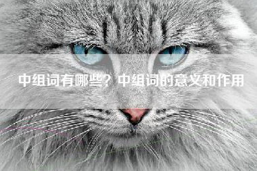 中组词有哪些？中组词的意义和作用