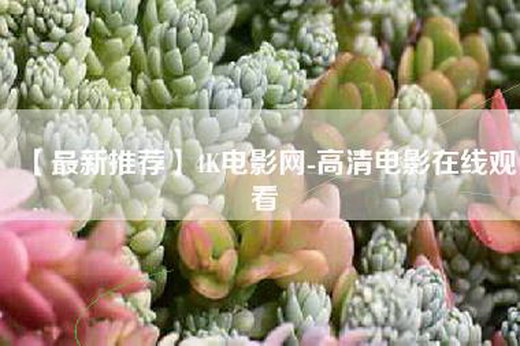 【最新推荐】4K电影网-高清电影在线观看