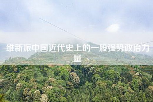 维新派中国近代史上的一股强势政治力量