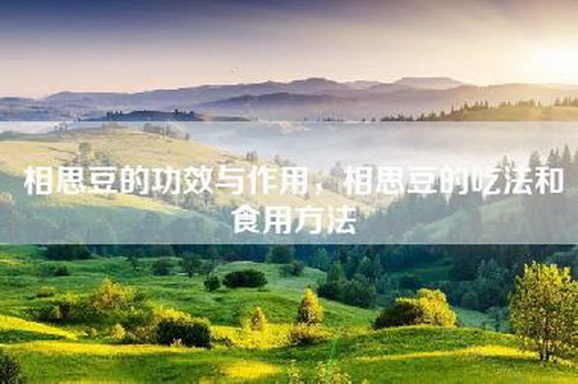 相思豆的功效与作用，相思豆的吃法和食用方法