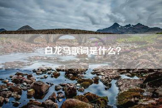 白龙马歌词是什么？
