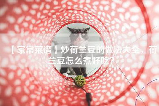 【家常菜谱】炒荷兰豆的做法大全，荷兰豆怎么煮好吃？