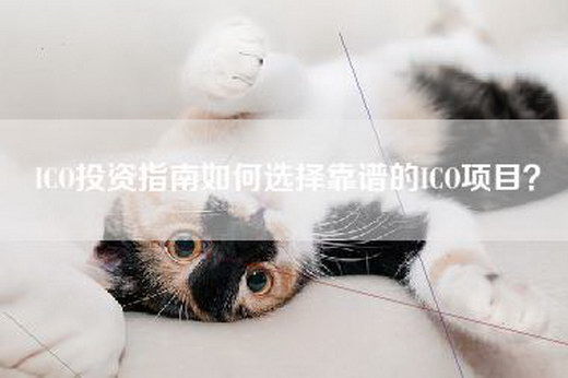ICO投资指南如何选择靠谱的ICO项目？