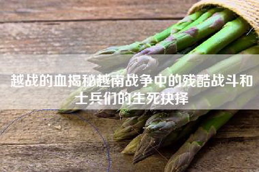 越战的血揭秘越南战争中的残酷战斗和士兵们的生死抉择