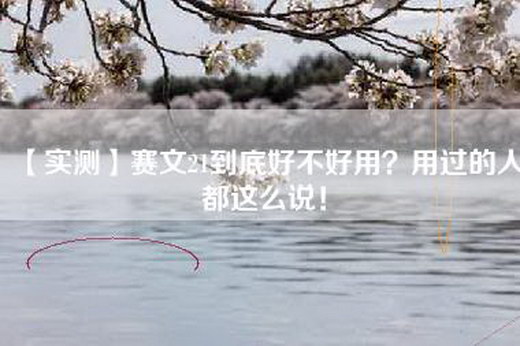 【实测】赛文21到底好不好用？用过的人都这么说！