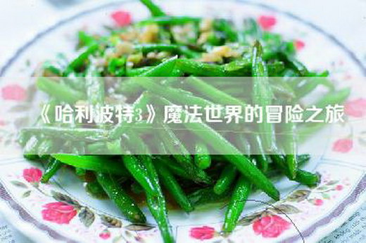 《哈利波特3》魔法世界的冒险之旅