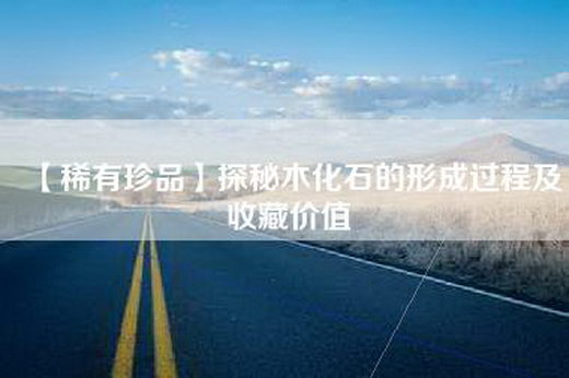 【稀有珍品】探秘木化石的形成过程及收藏价值