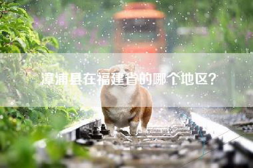 漳浦县在福建省的哪个地区？