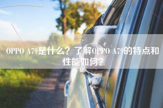 OPPO A79是什么？了解OPPO A79的特点和性能如何？