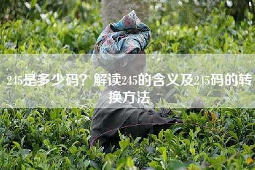 245是多少码？解读245的含义及245码的转换方法