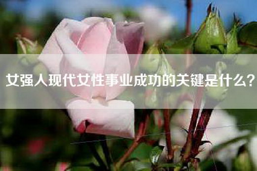 女强人现代女性事业成功的关键是什么？