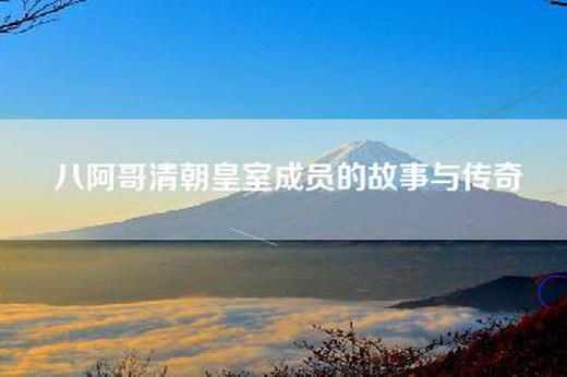 八阿哥清朝皇室成员的故事与传奇