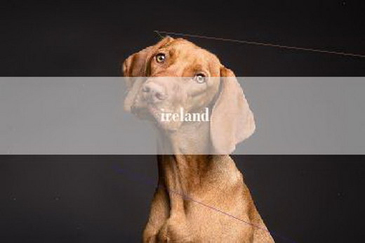 ireland
