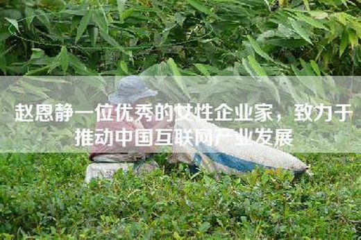 赵恩静一位优秀的女性企业家，致力于推动中国互联网产业发展