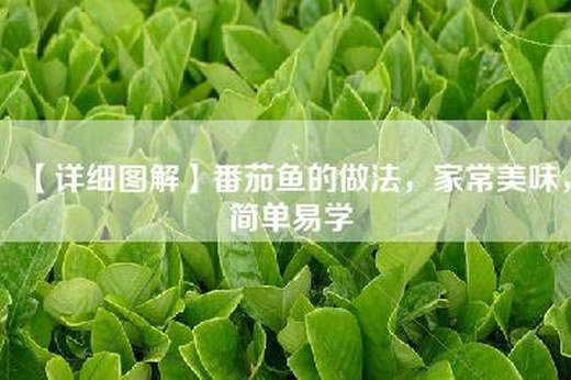 【详细图解】番茄鱼的做法，家常美味，简单易学