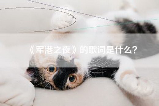 《军港之夜》的歌词是什么？