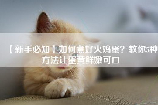 【新手必知】如何煮好火鸡蛋？教你5种方法让蛋黄鲜嫩可口