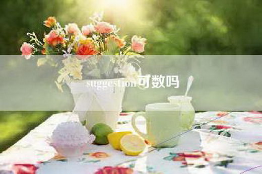 suggestion可数吗