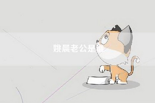 姚晨老公是谁