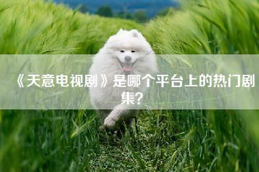 《天意电视剧》是哪个平台上的热门剧集？