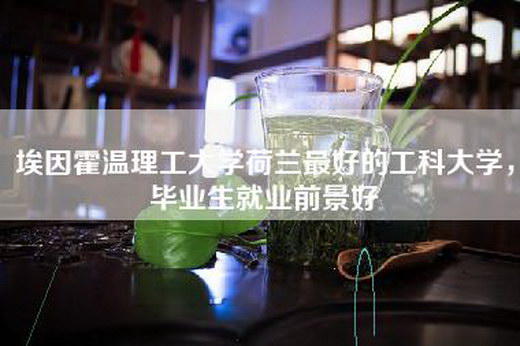 埃因霍温理工大学荷兰最好的工科大学，毕业生就业前景好