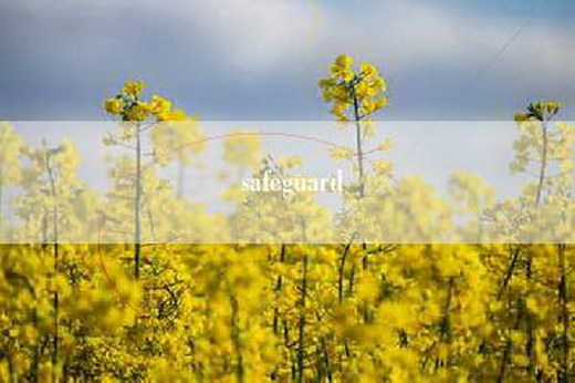 safeguard