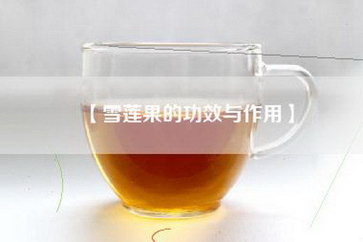 【雪莲果的功效与作用】