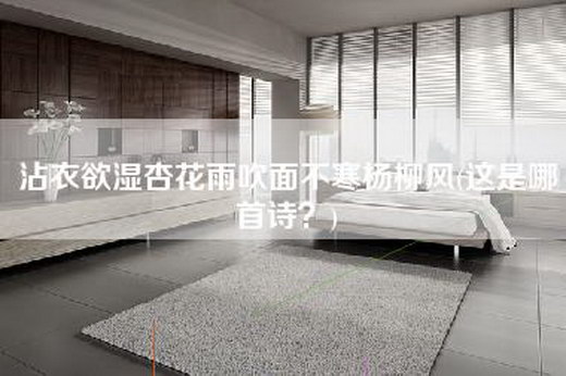 沾衣欲湿杏花雨吹面不寒杨柳风(这是哪首诗？)