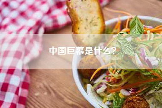 中国巨幕是什么？