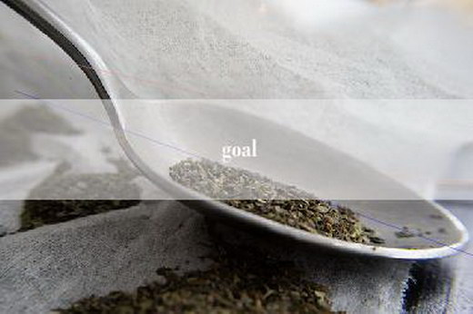 goal