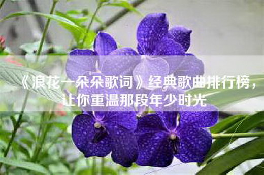 《浪花一朵朵歌词》经典歌曲排行榜，让你重温那段年少时光