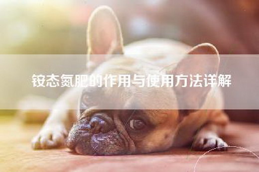 铵态氮肥的作用与使用方法详解