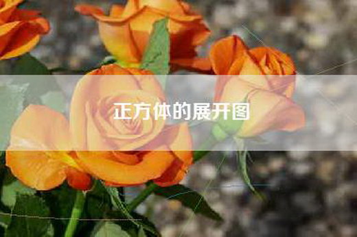 正方体的展开图