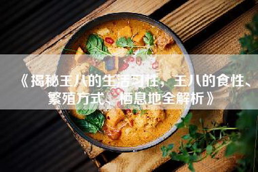 《揭秘王八的生活习性，王八的食性、繁殖方式、栖息地全解析》