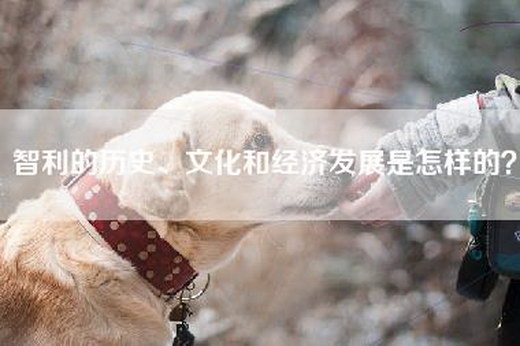 智利的历史、文化和经济发展是怎样的？