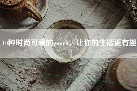 10种时尚可爱的pouch，让你的生活更有趣