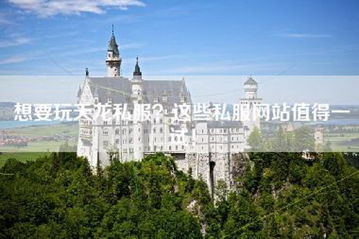 想要玩天龙私服？这些私服网站值得一试！
