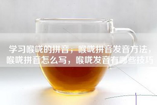 学习喉咙的拼音，喉咙拼音发音方法，喉咙拼音怎么写，喉咙发音有哪些技巧