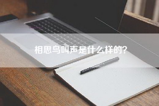 相思鸟叫声是什么样的？