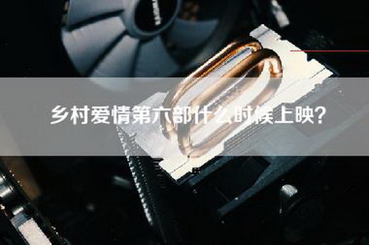 乡村爱情第六部什么时候上映？
