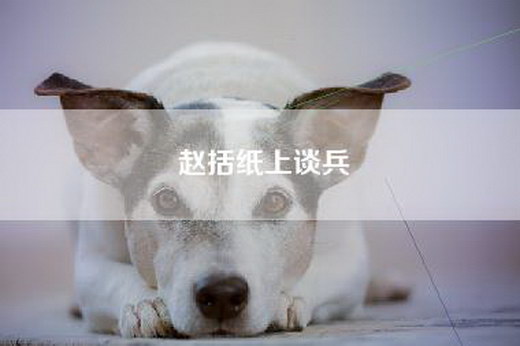 赵括纸上谈兵