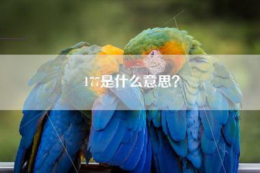 177是什么意思？