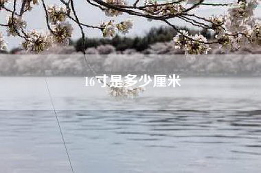 16寸是多少厘米