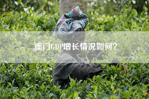 澳门GDP增长情况如何？