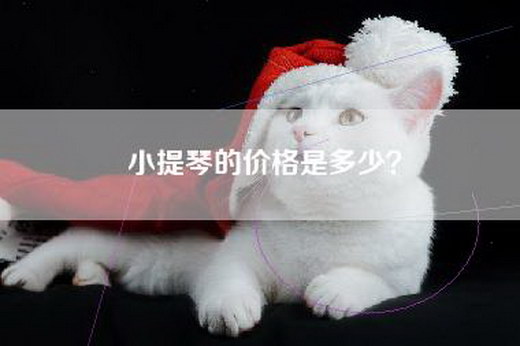 小提琴的价格是多少？